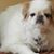 Dale Wenzara's profile image