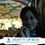 Farheen Siddiqui's profile image