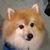 Betty J Price's profile image