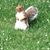 Tyger MacLennan's profile image