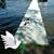 Dixie Holzer's profile image