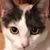 Danelle Parker's profile image