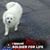 Pat Kjelstrom's profile image