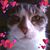Linda Dannreuther Moran's profile image