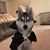 Tracy Ann Marie's profile image