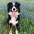 Stephanie Rankin Scharmann's profile image