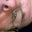 Robert Johnson's profile image