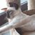 Angela Pollney's profile image