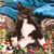 Kelly Hamme's profile image