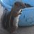 June Sipe's profile image