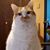 Sharon Johnson's profile image