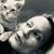 Danette Knopp Somers's profile image