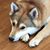 Angela Lawrence's profile image