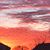 Anna M Burgess's profile image