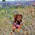 Sallyanne Mosier Calvert's profile image