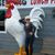 Tammy McGuire's profile image