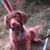 Kim Knight's profile image