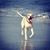 Leonardo Segovia's profile image