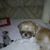 Jo Ellen Moutray Blaine's profile image