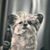 Rachel Sudduth's profile image