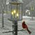 Rae Ann French's profile image