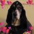 Sabrina Riddleberger's profile image