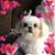 Carolyn Budry's profile image
