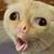 Crystal Smith Paffrath's profile image