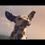 April Wetherell's profile image