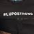 Dave Lupo's profile image