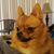 Beth Wingo-Durham's profile image