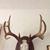 Hunter Morse's profile image