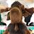 Brent Aberg's profile image