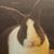 Colleen Deafenbaugh's profile image