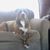 Steven Paul Lamendola's profile image