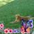 Debbie Finley-Wakefield's profile image