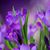 Barbara Wiginton's profile image