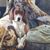 Marie Giannini's profile image