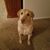 Kim Hayes Peets's profile image