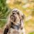 Theresa Coonce's profile image