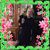Susan Lejnar's profile image