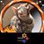Paula Steele's profile image
