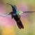 Paula Shevick's profile image