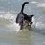 David Hicks's profile image