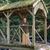 Sondra Bess's profile image