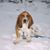 Val Redding's profile image