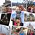 Barb Mattox-Kroll's profile image