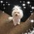 Beth Carabine's profile image