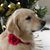 Rita Hepfinger Grau's profile image