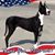 Denise DiAntonio's profile image